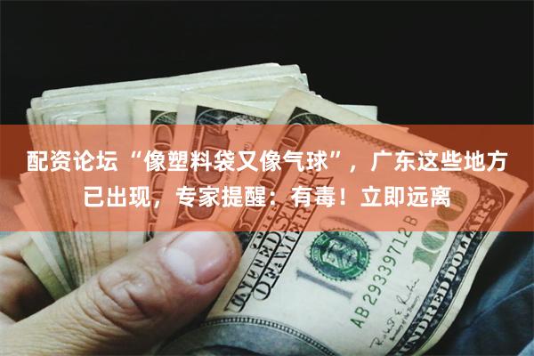 配资论坛 “像塑料袋又像气球”，广东这些地方已出现，专家提醒：有毒！立即远离