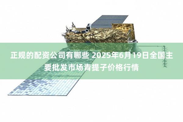 正规的配资公司有哪些 2025年6月19日全国主要批发市场青提子价格行情