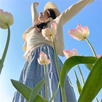 律政英雄特别版